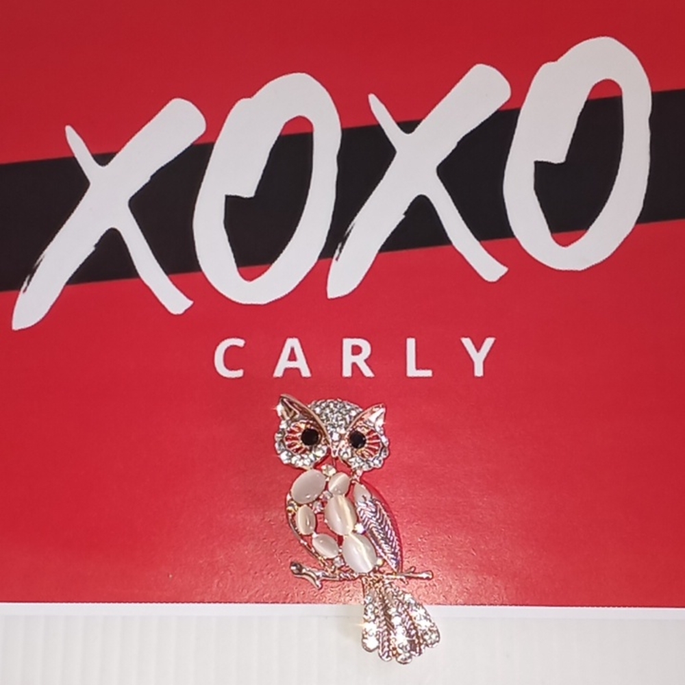 OWL 🦉 Moonstoned &  Rhinestoned Brooch